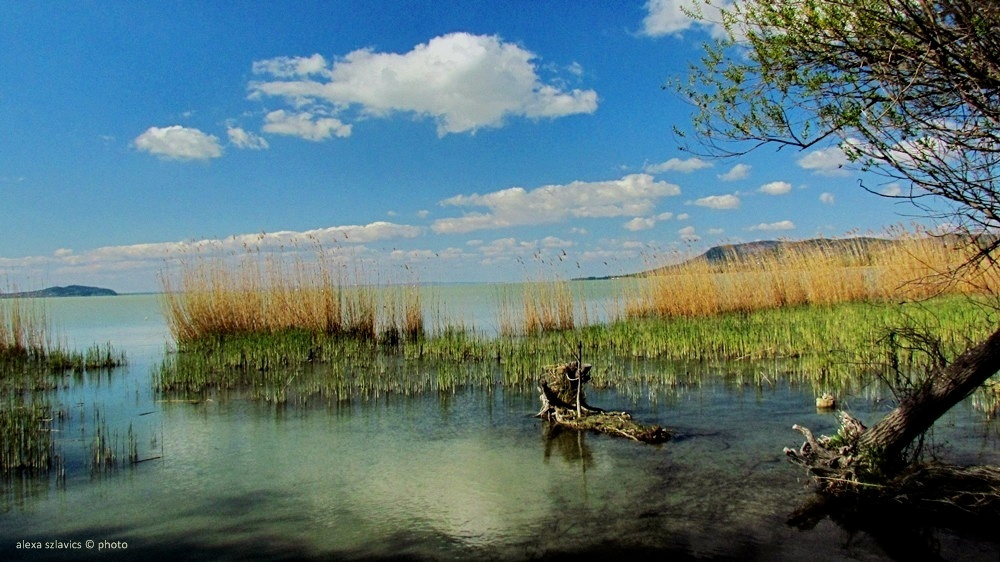 Balaton