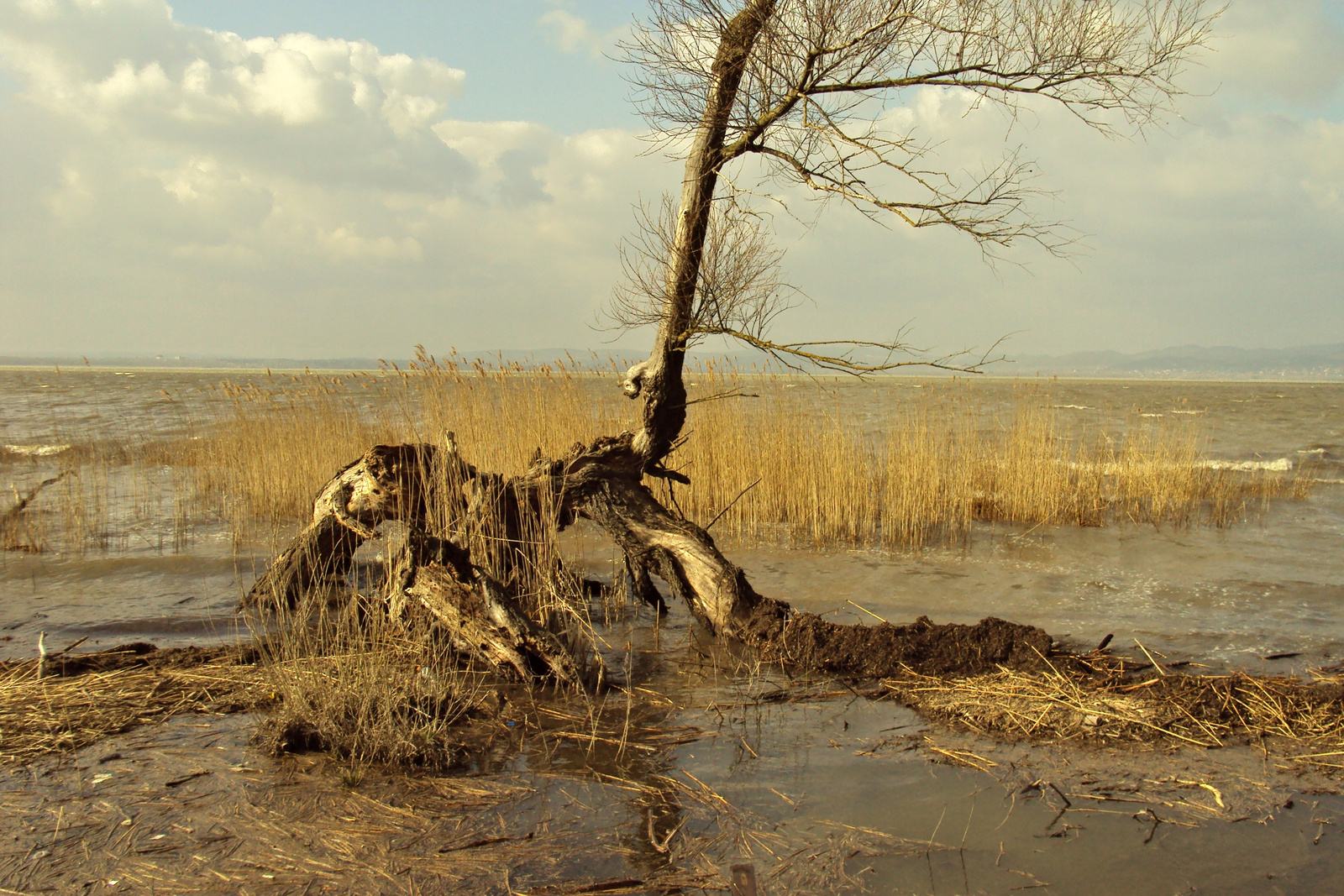 Balatonberény 024