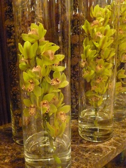 Egy szál orchidea