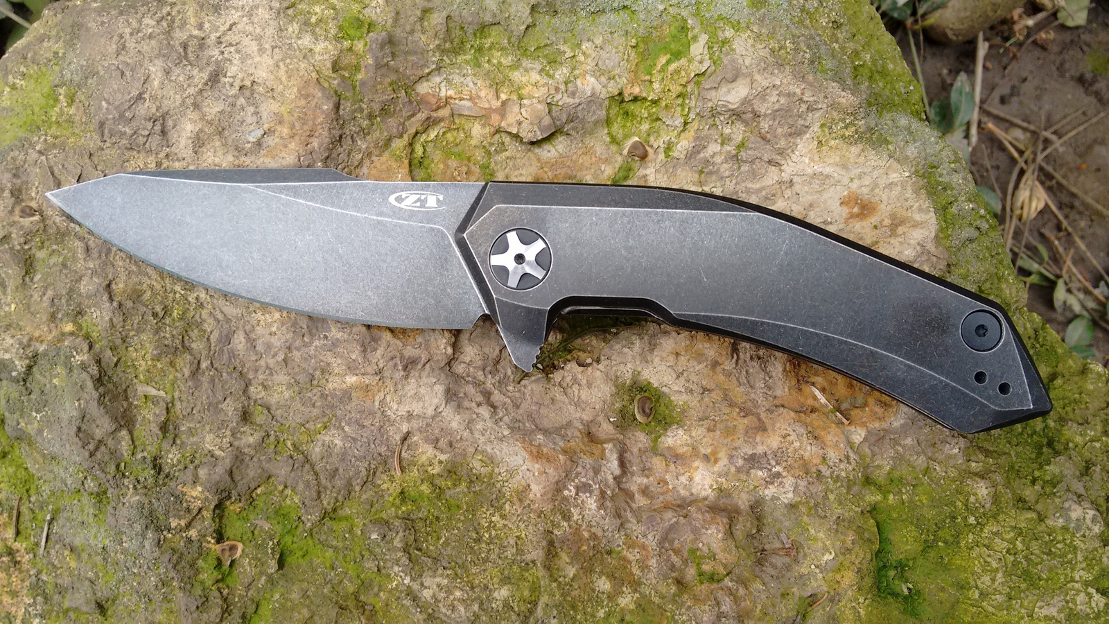 ZT0095BW.1