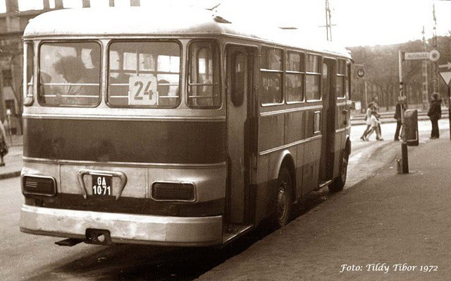 24-es busz