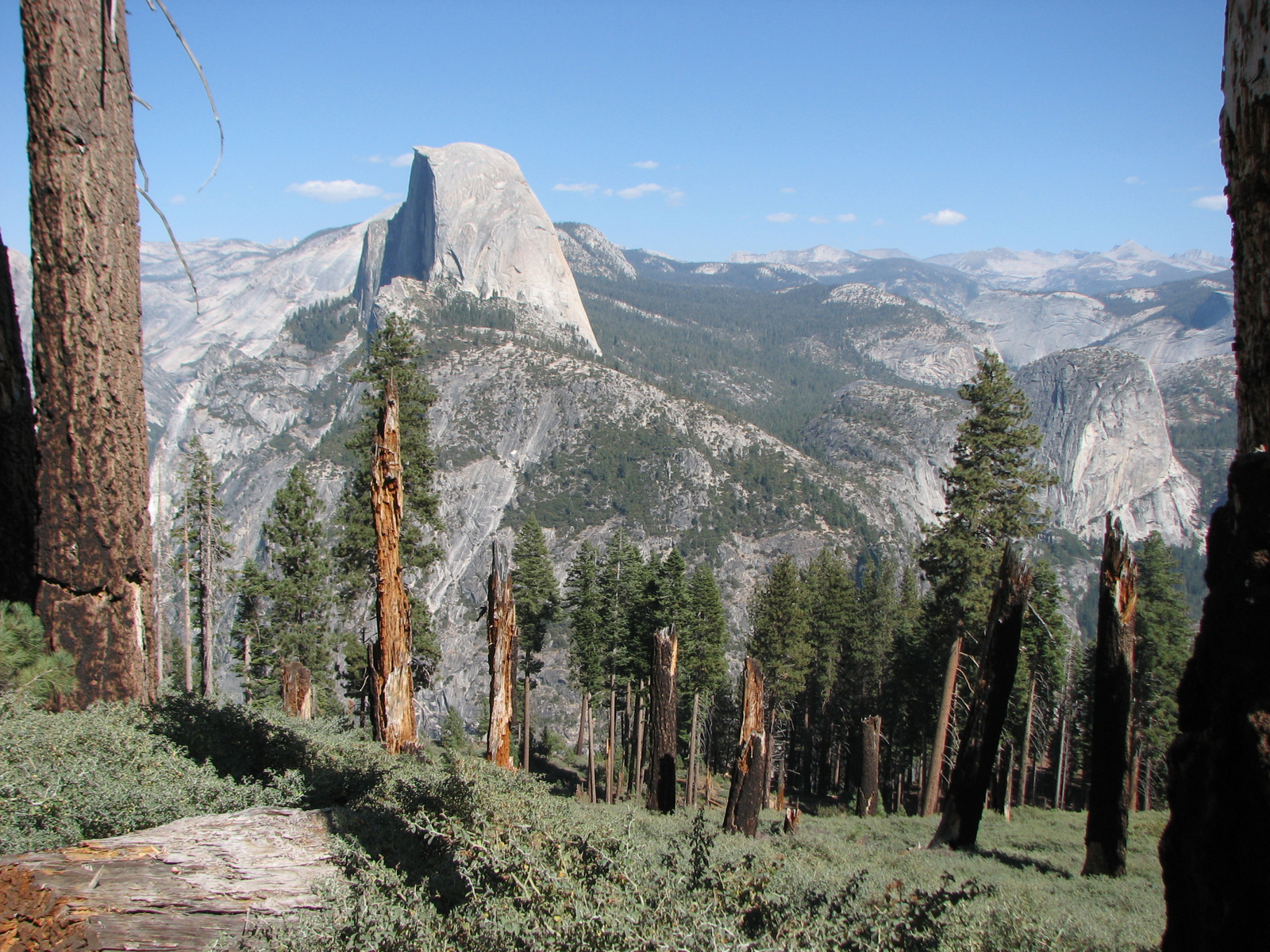 IMG 1300-Yosemite NP