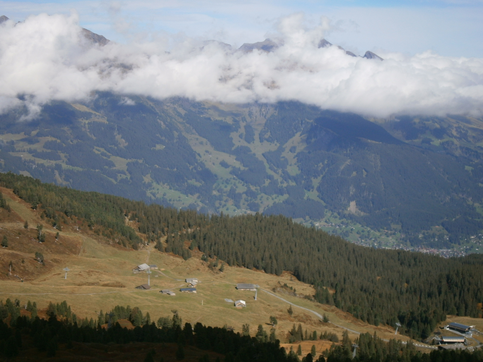 PA020257 völgy a Jungfrau lábánál