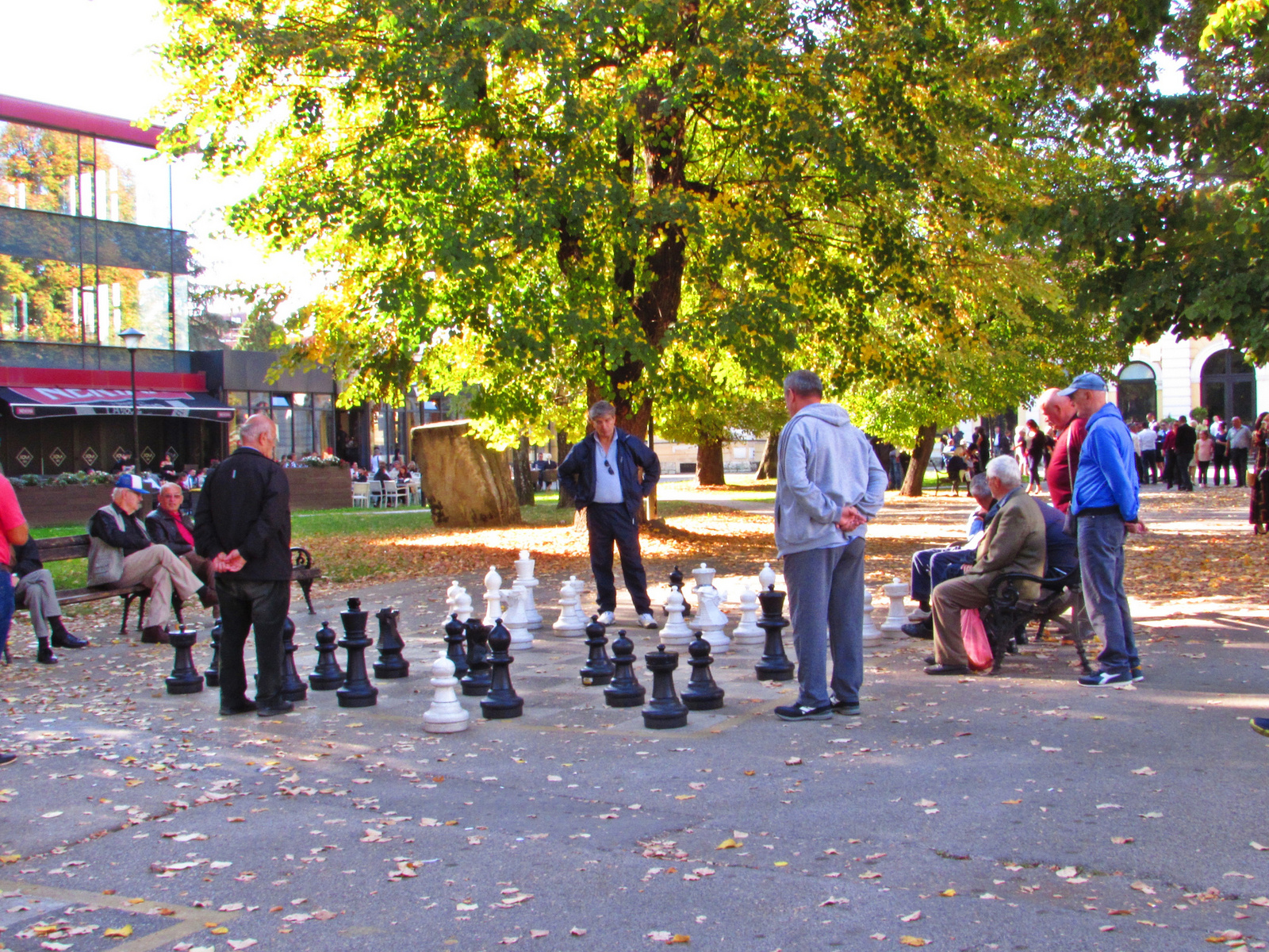 sakkozók a parkban
