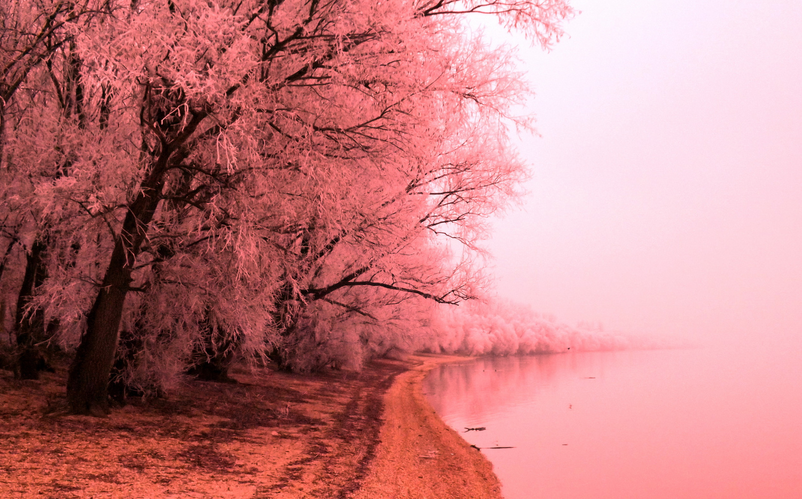 pink tree2