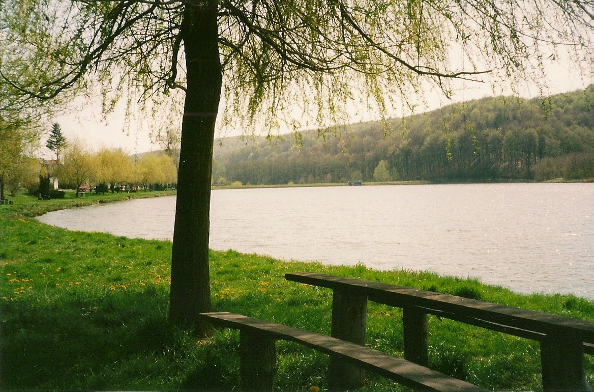 Kistolmácsi-tó 2003