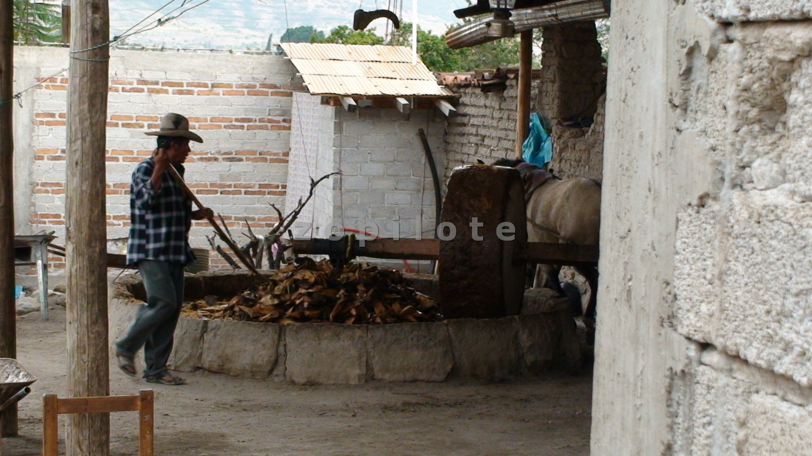 Mitla, Oaxaca-mezcal keszitese