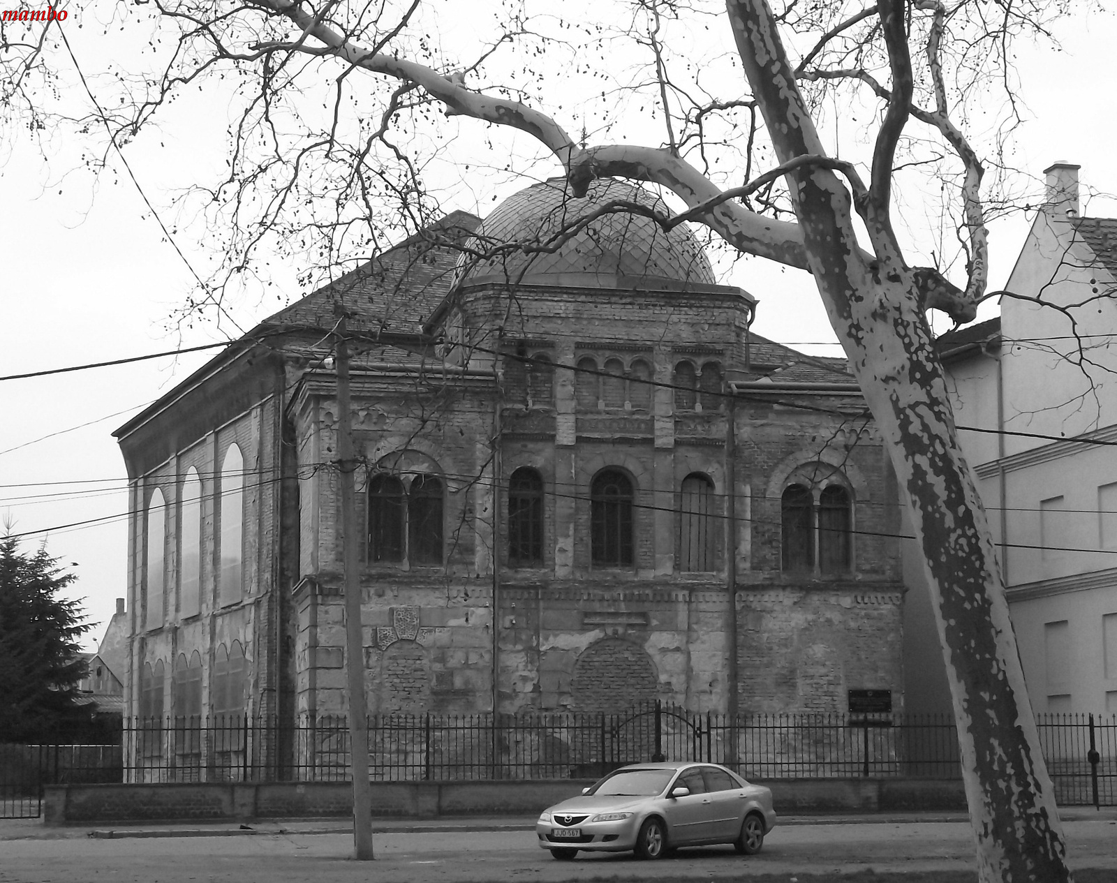 Ortodox Zsinagoga a fák közül