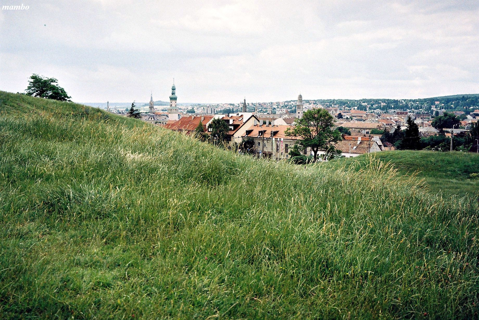 Látkép a Bécsi dombrol
