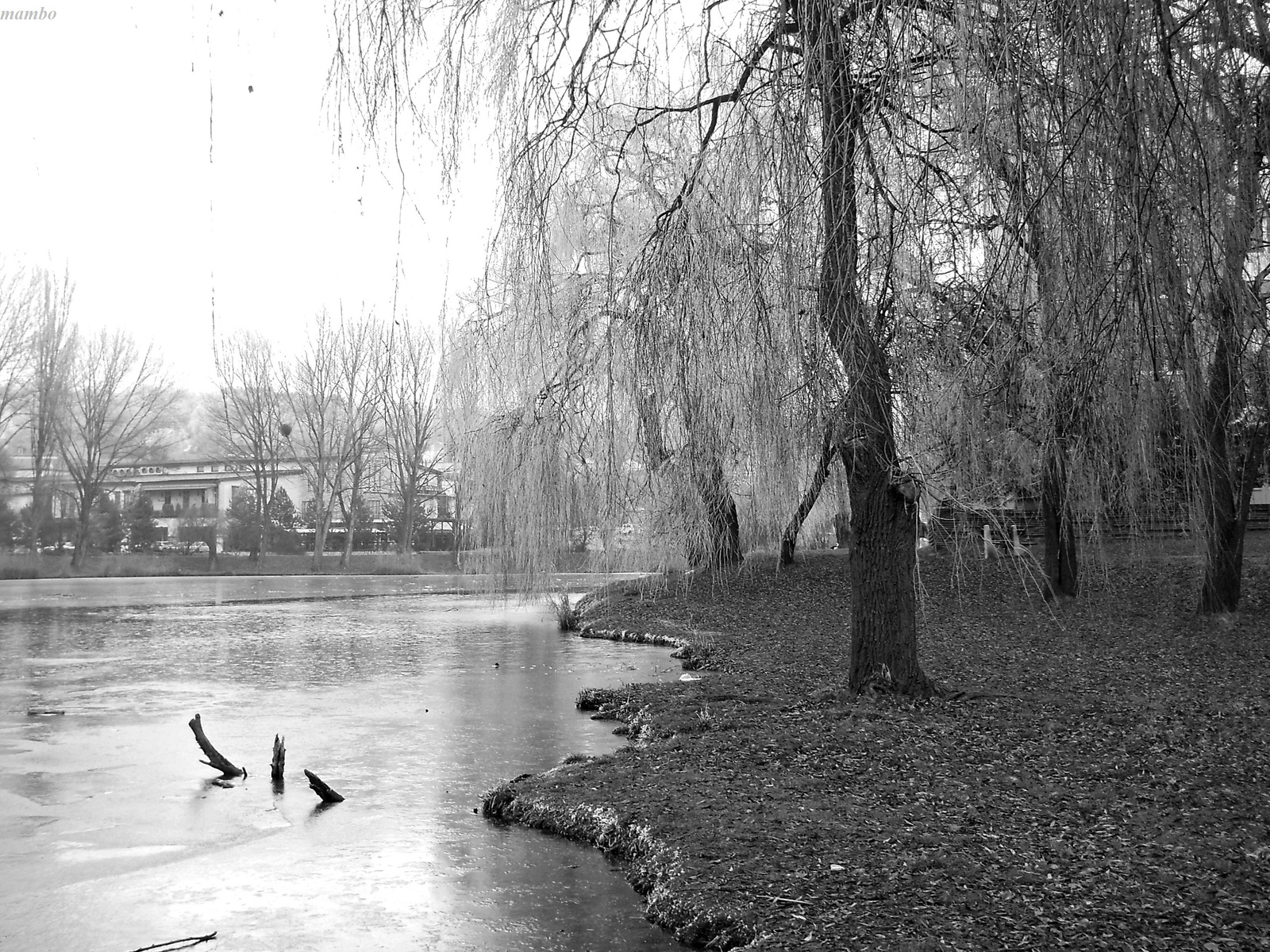 Winter at the lake.1.