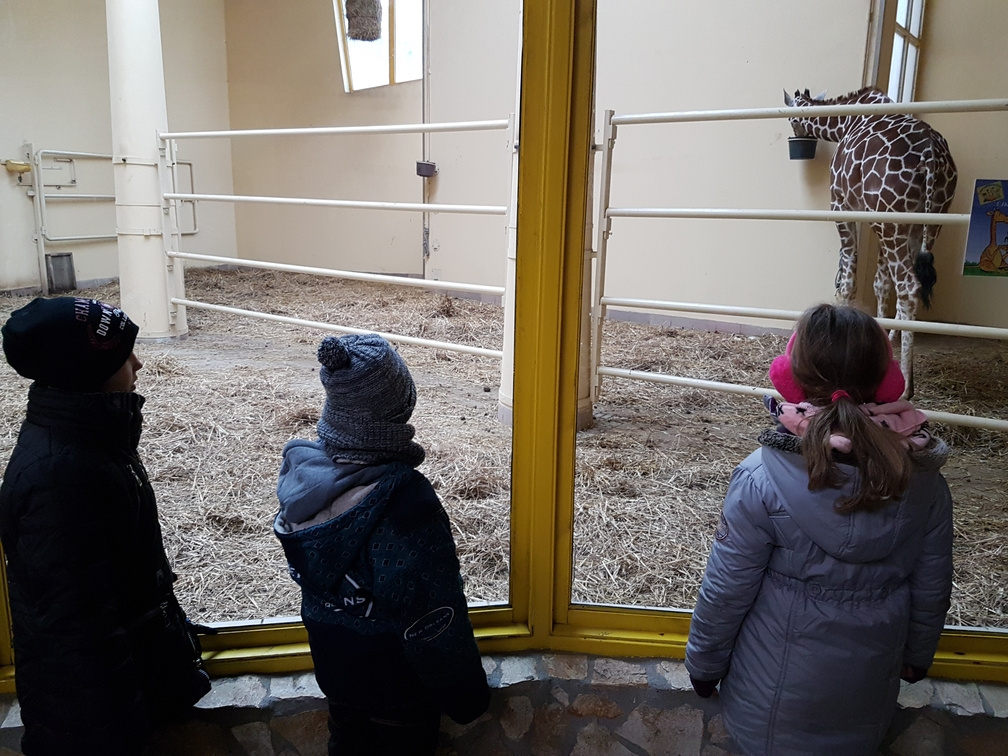 Debreceni állatkertben