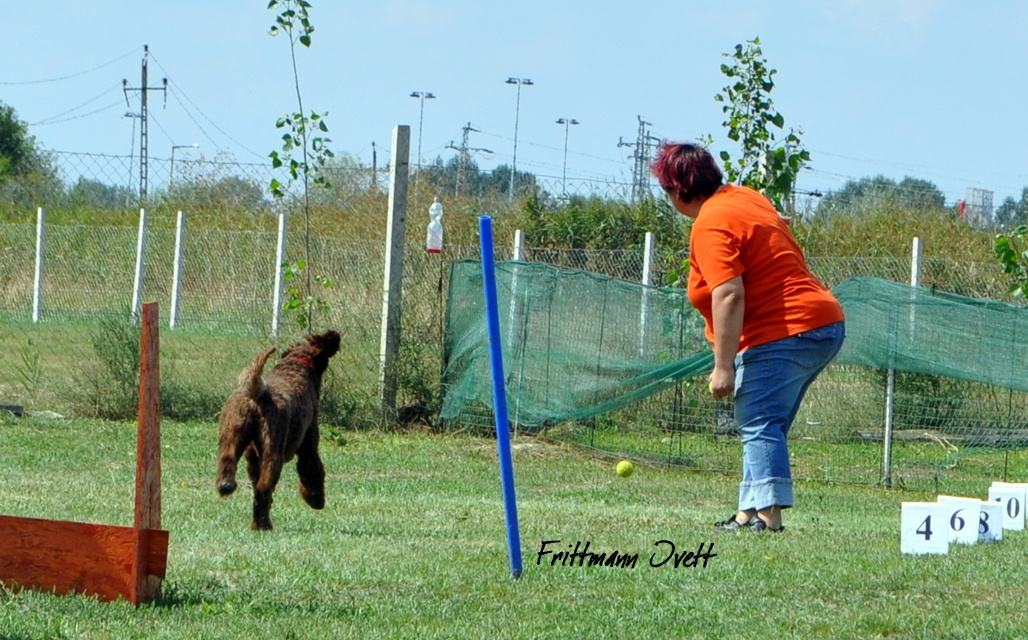 Flyball szemi (109)