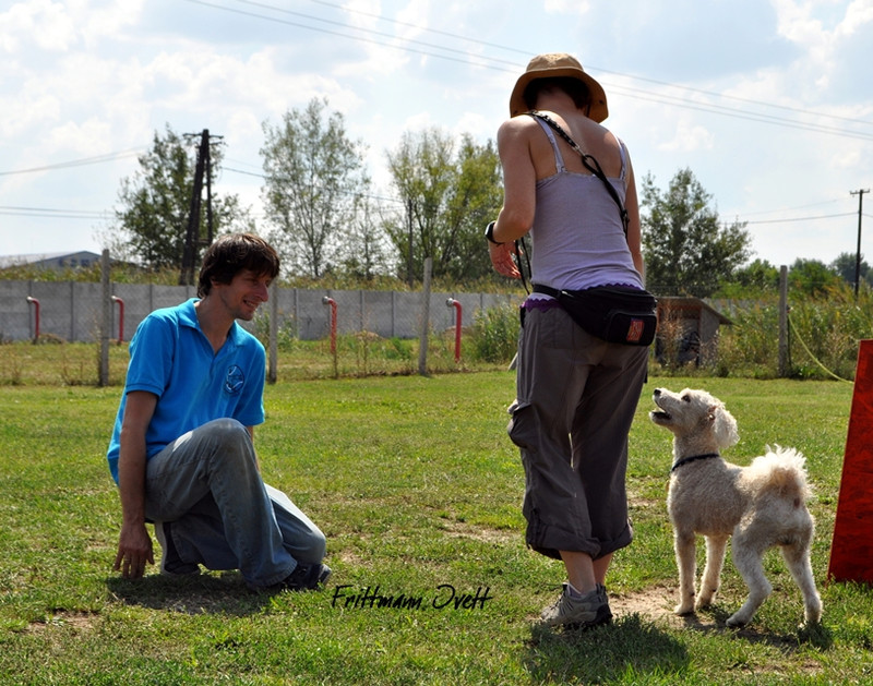 Flyball szemi (133)