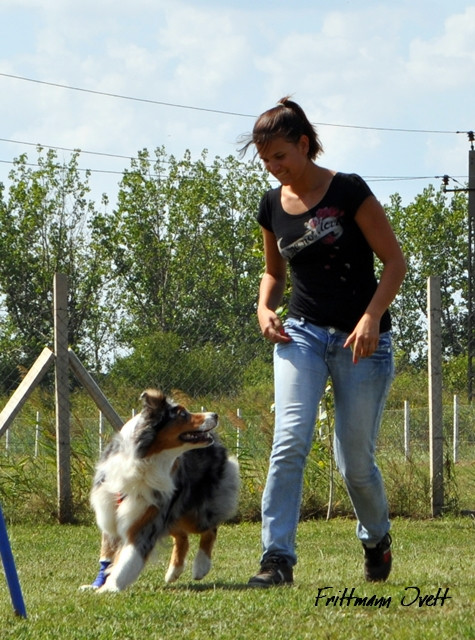 Flyball szemi (181)