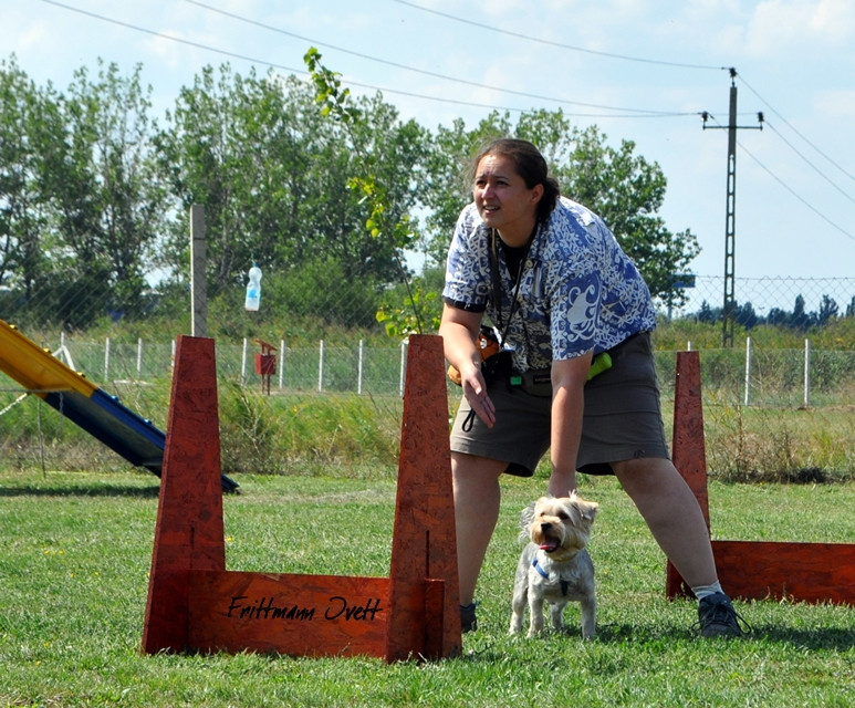 Flyball szemi (224)