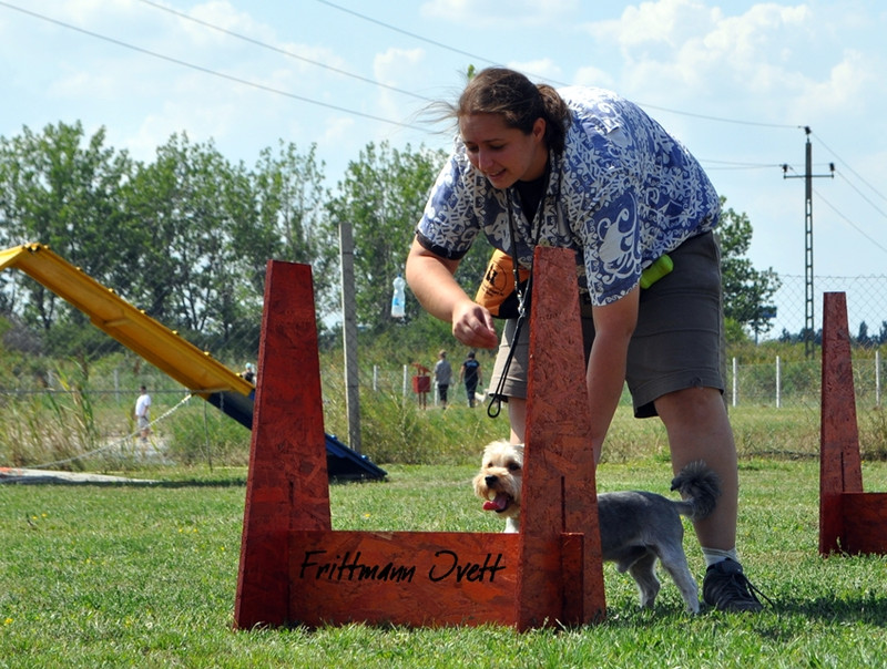 Flyball szemi (229)