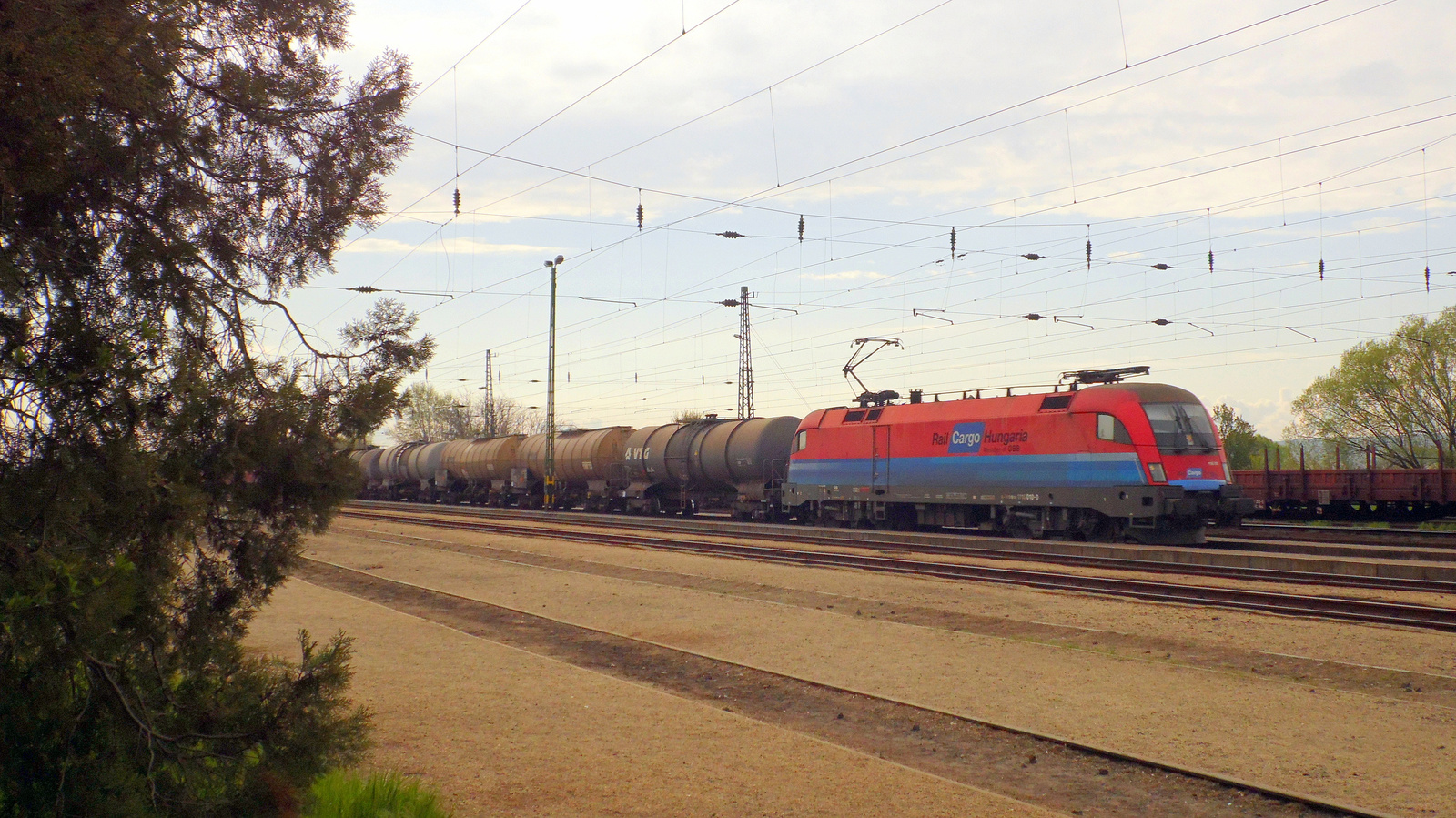 1116 010 (Rail Cargo Hungaria) Taurus
