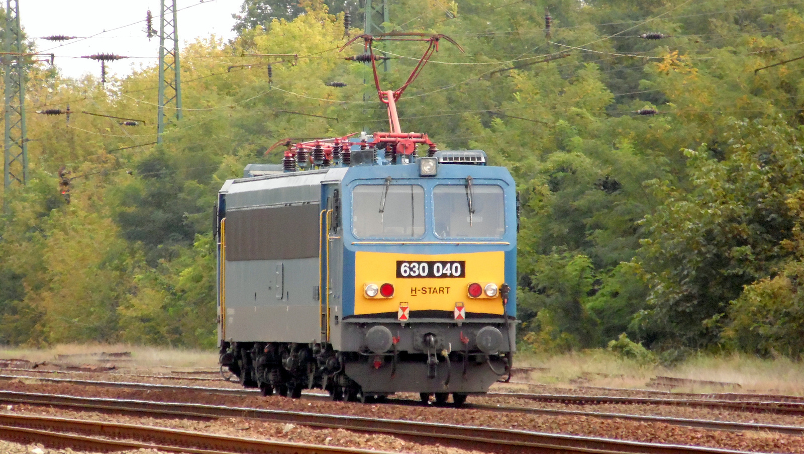 630 040 (Gigant)