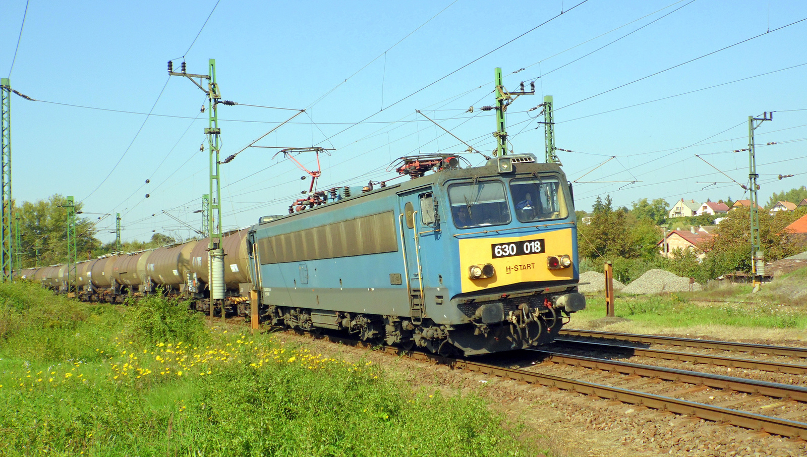 630 018 (Gigant)