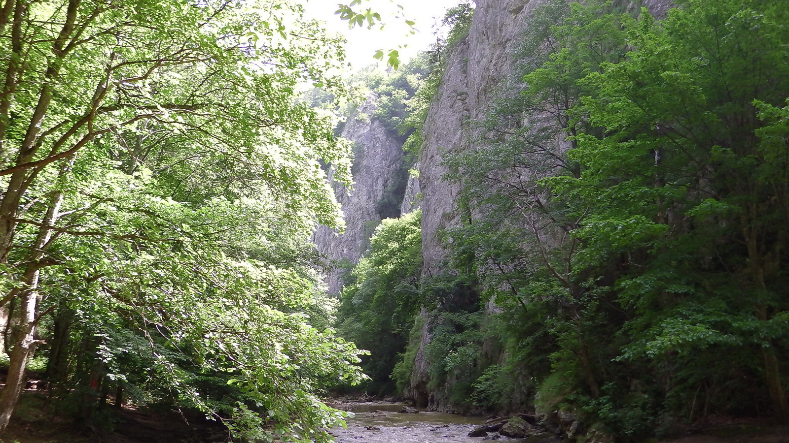 Széchenyi szikla oldalfa a völgytalp felől fotózva