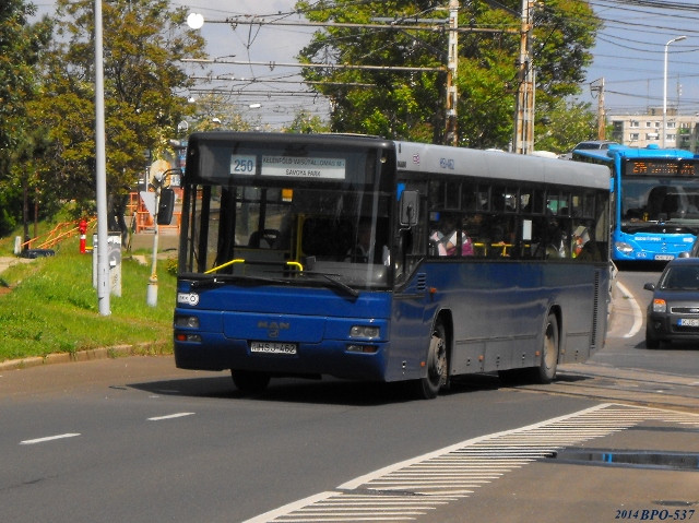 HSJ-462 (640x479)