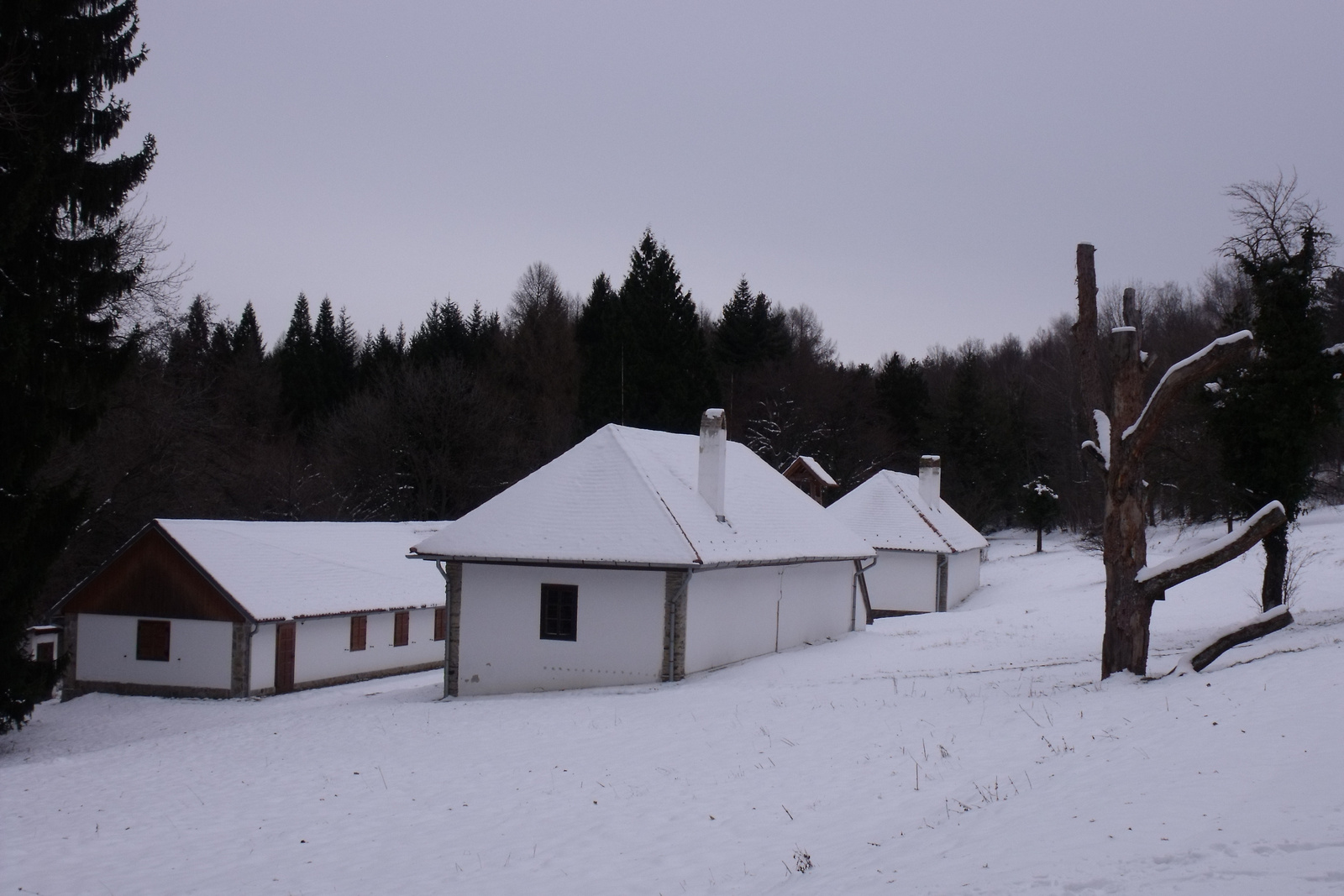 1501010103 Stájer-házak a Hörmann-felöl