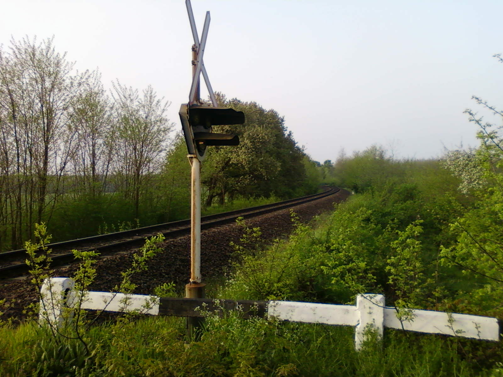 Fotó0808 Jól biztosított vasúti átjáró az erdőben (Különb mint a