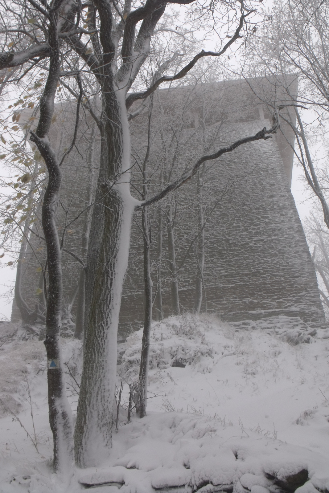DSCF0041 Novemberi tél a Kőszegi-hegyen