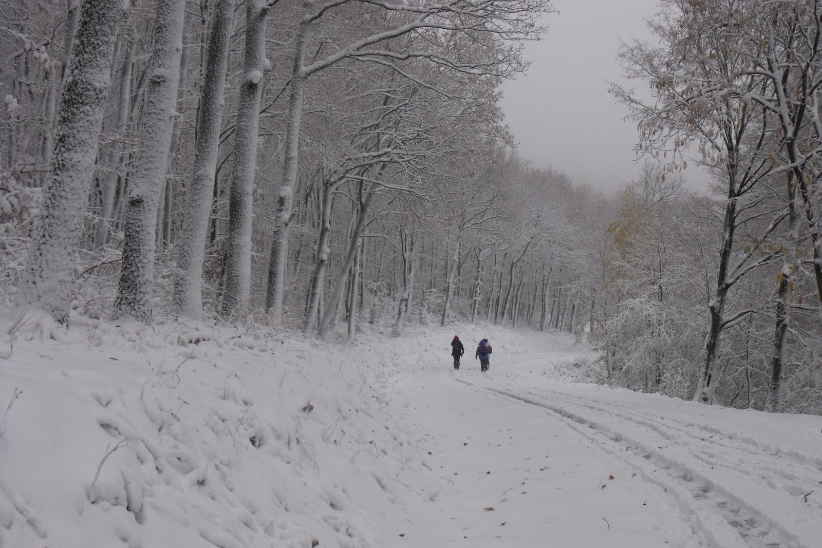 DSCF0114 Novemberi tél a Kőszegi-hegyen