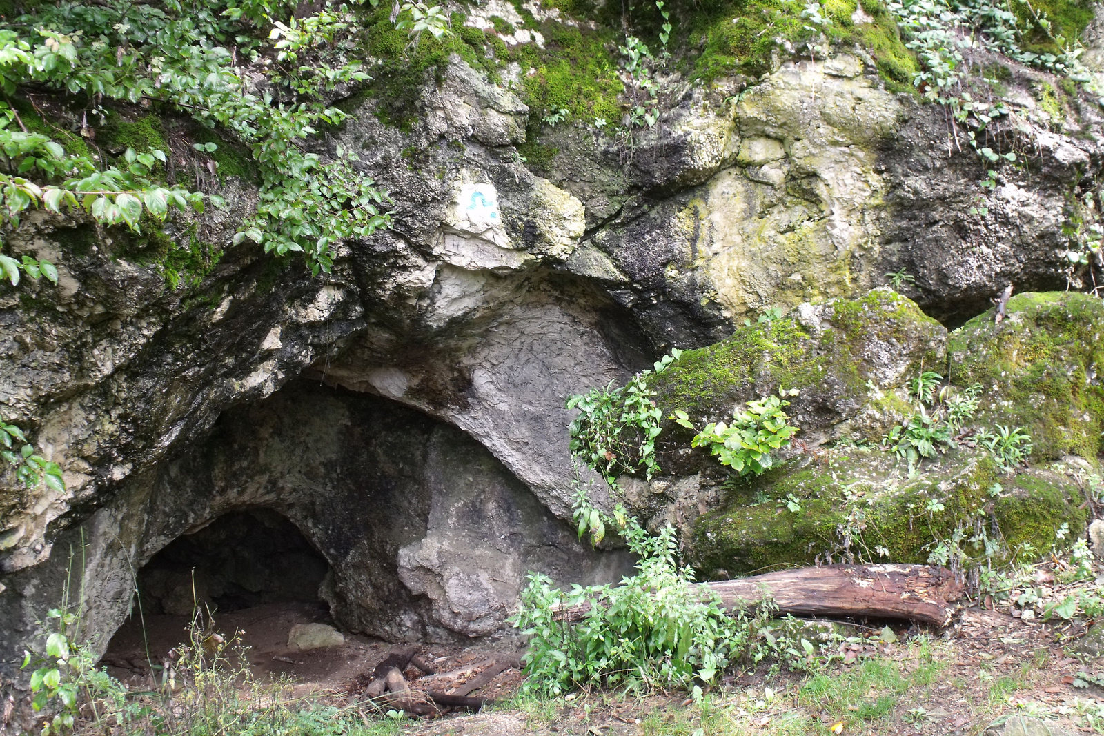 DSCF0018 Likas-kő barlang, Bakonybéltől északra
