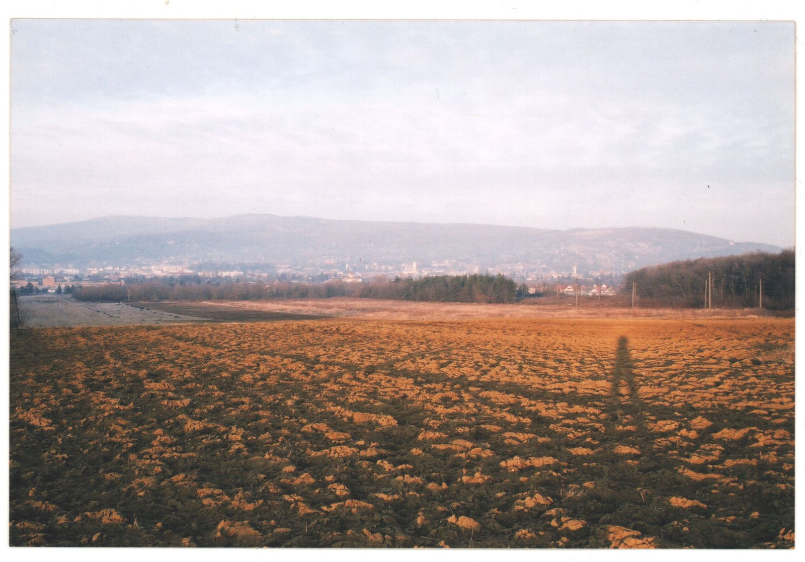 111 Villanyoszlop szerű árnyékom Kőszeg határában 2003-03-02