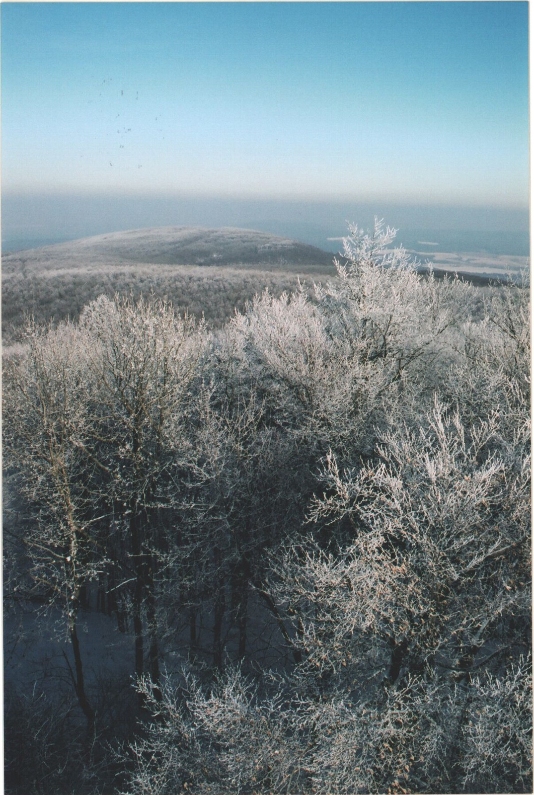 179 Kilátás a Kőris-hegyről ÉK felé, Kék-hegy irányába 2004-01-2
