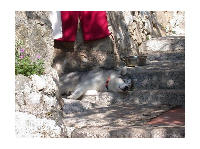 2367992-Life is laid back in Eze Eze