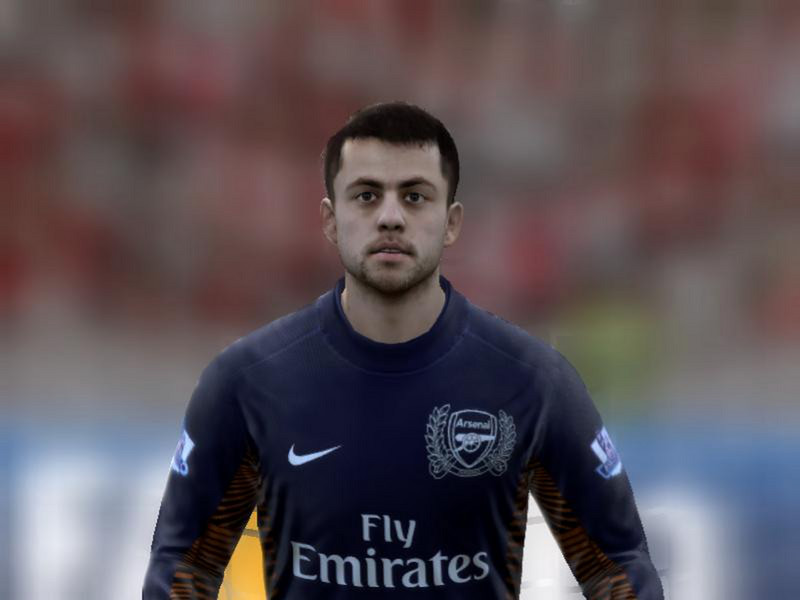 Arsenal Fabianski