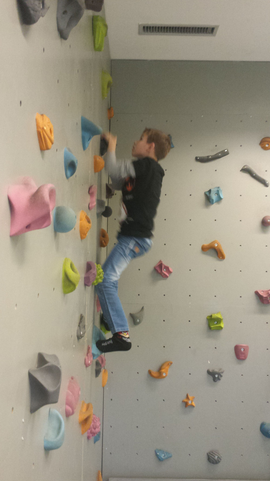 Boulder monkey