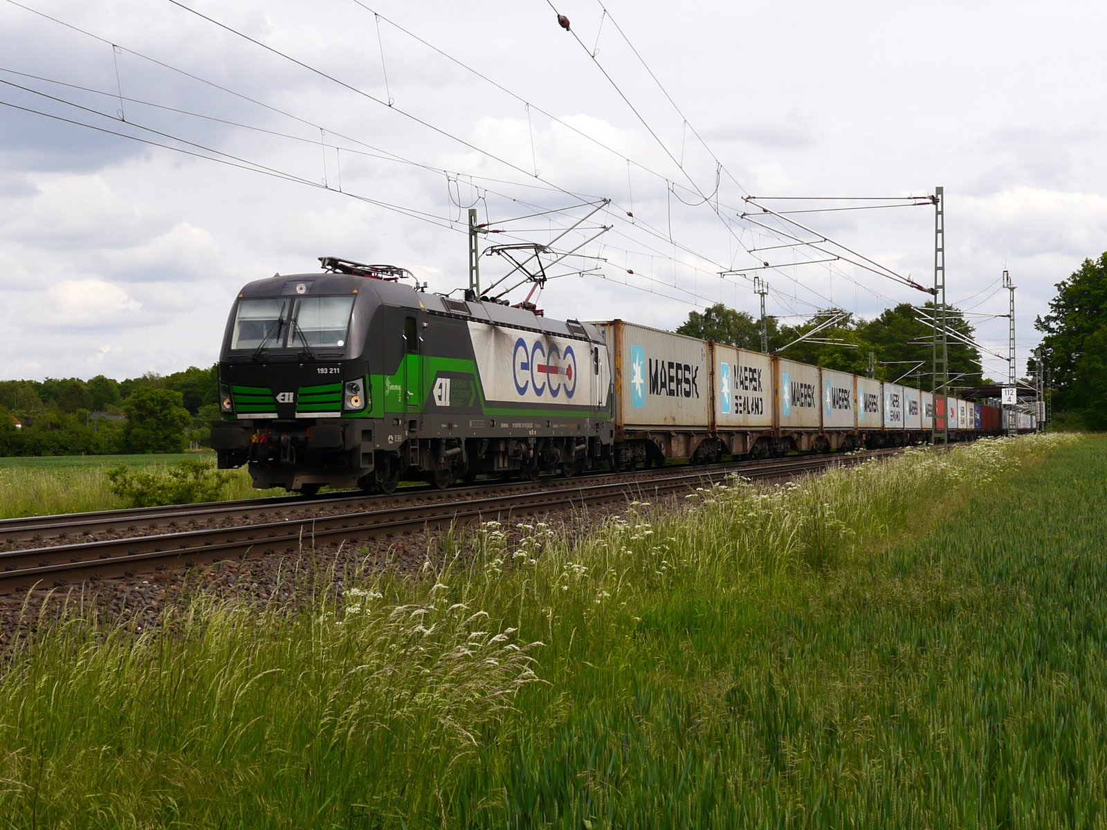 ECCO Rail
