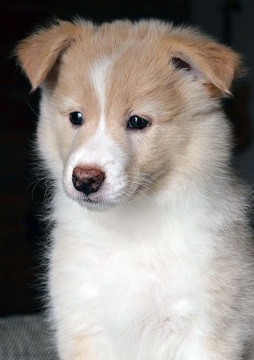 ruari 8,5 weeks portDSC 0086