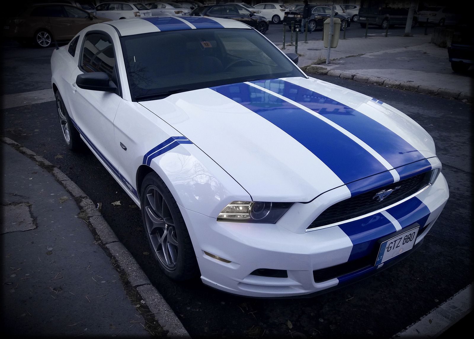 Mustang kék-fehérben