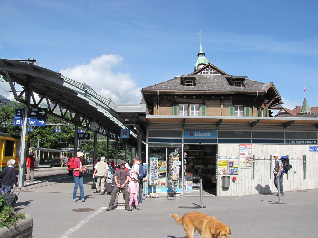 Jungfrau Régió, Lauterbrunnen fővölgy, Wengen, SzG3