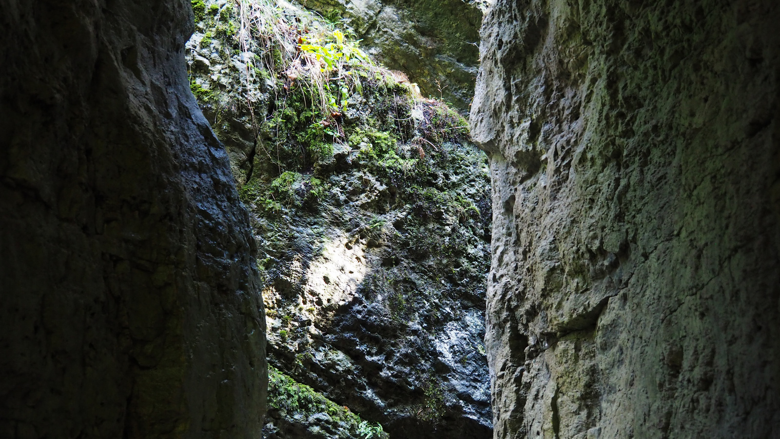 Teufelshöhle Pottenstein, SzG3