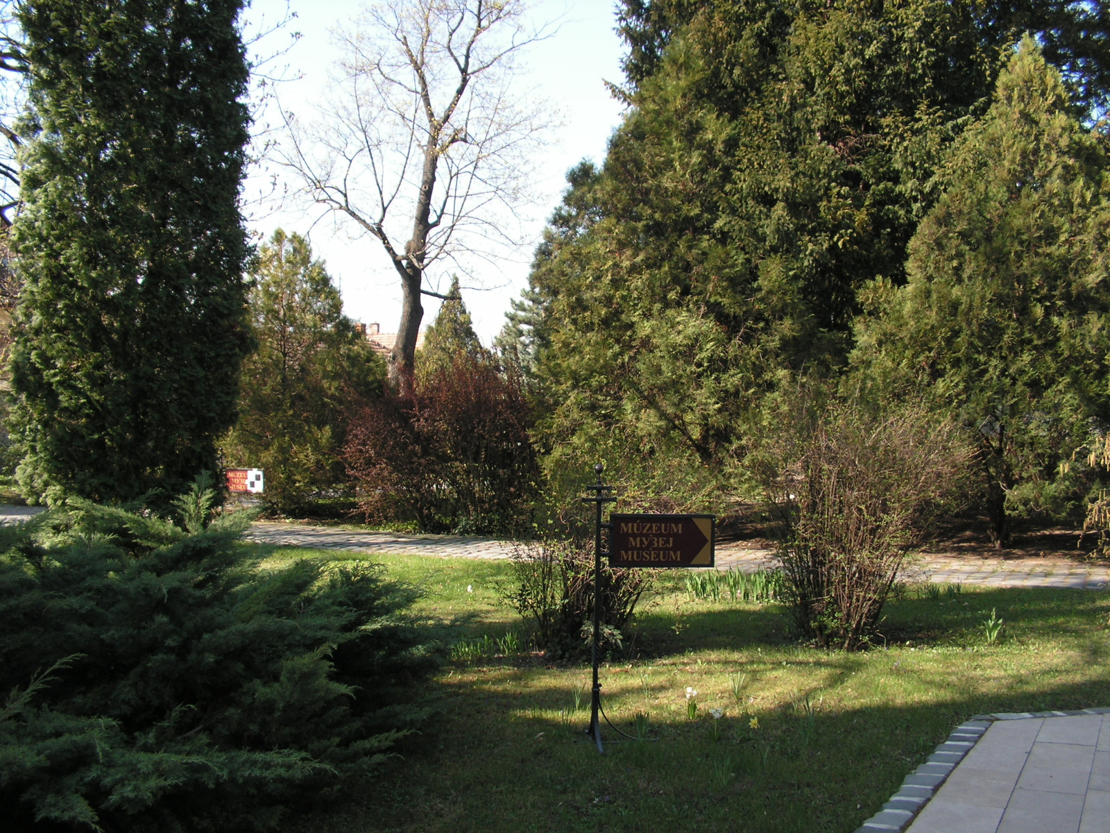 Szentendre, Szerb Egyházi Múzeum parkja, SzG3