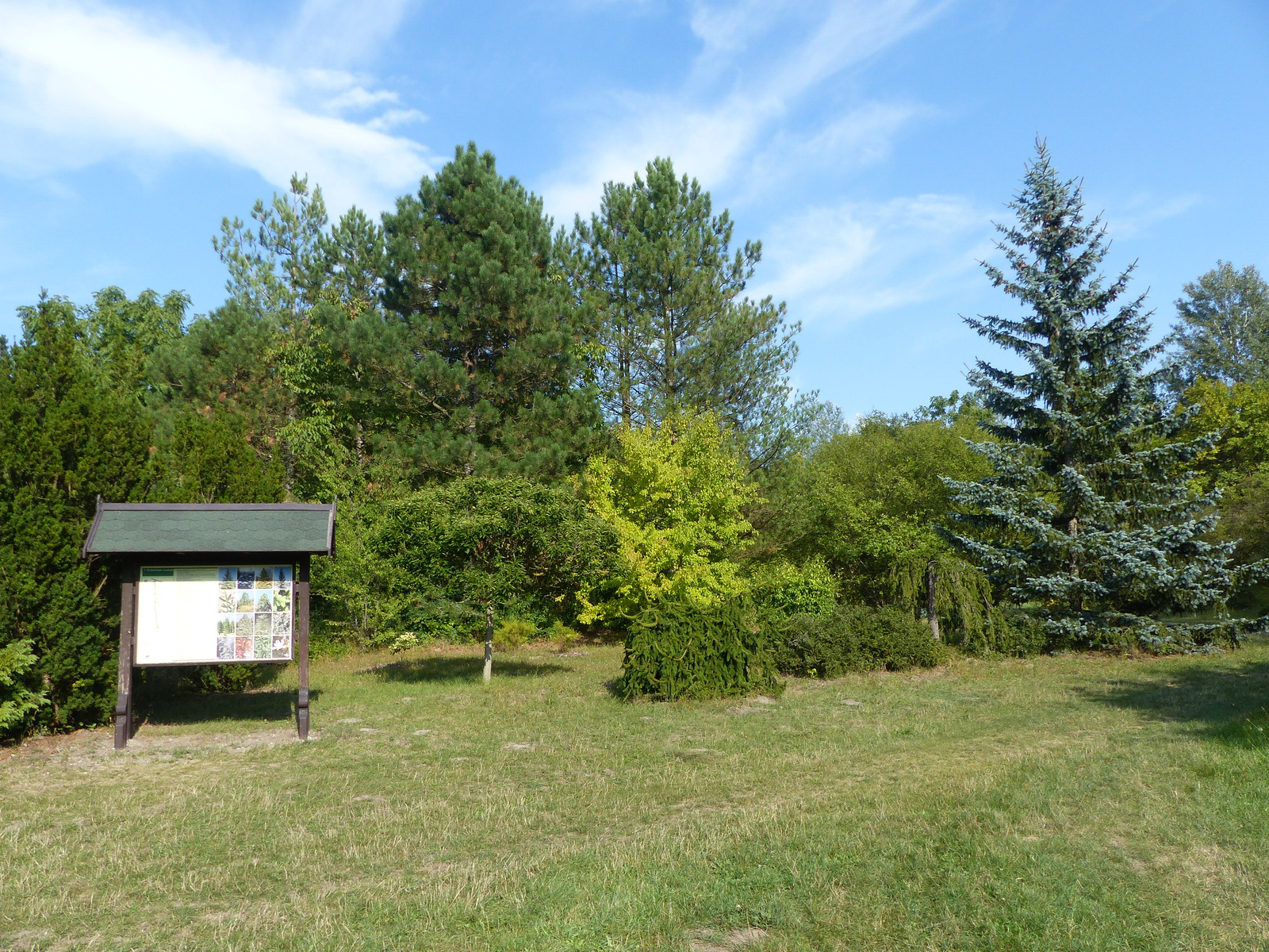 Kecskemét, az Arborétum, SzG3