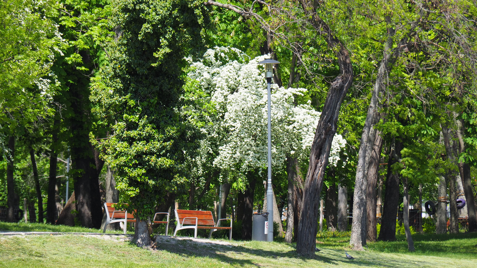 Budapest, Orczy park, SzG3