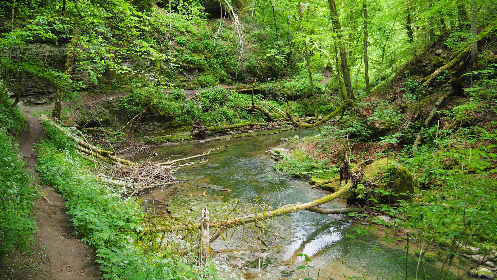 Hüfingen, Gauchachschlucht, SzG3