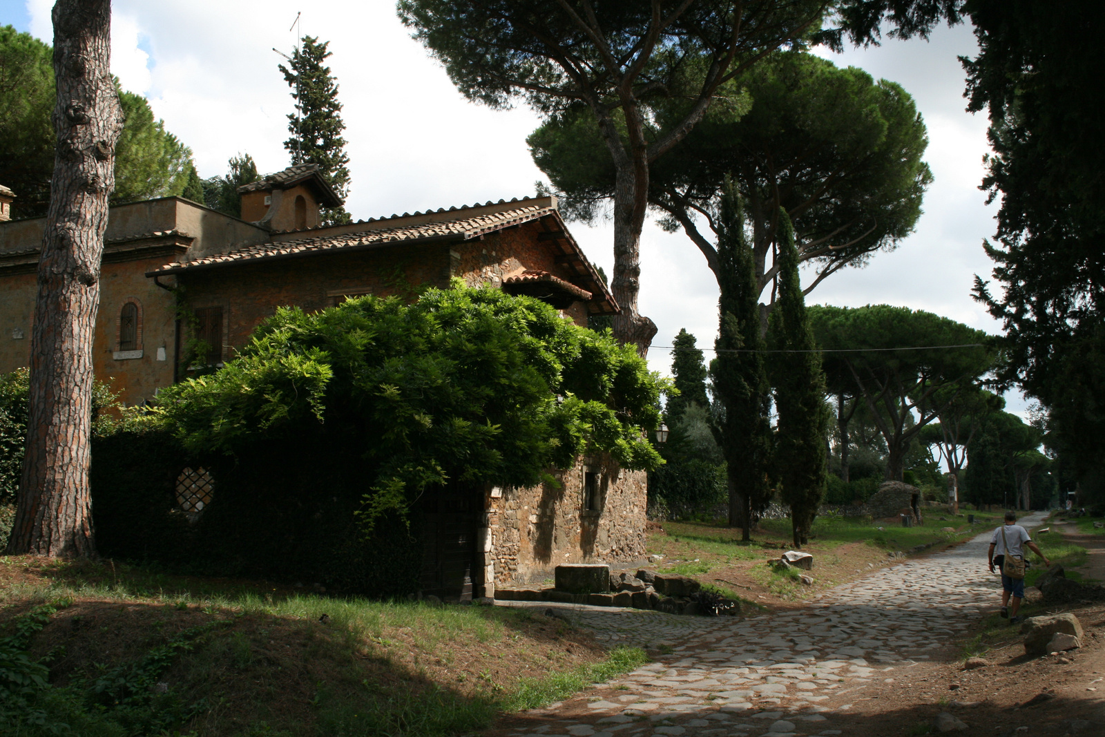 Mediterrán (Via Appia)