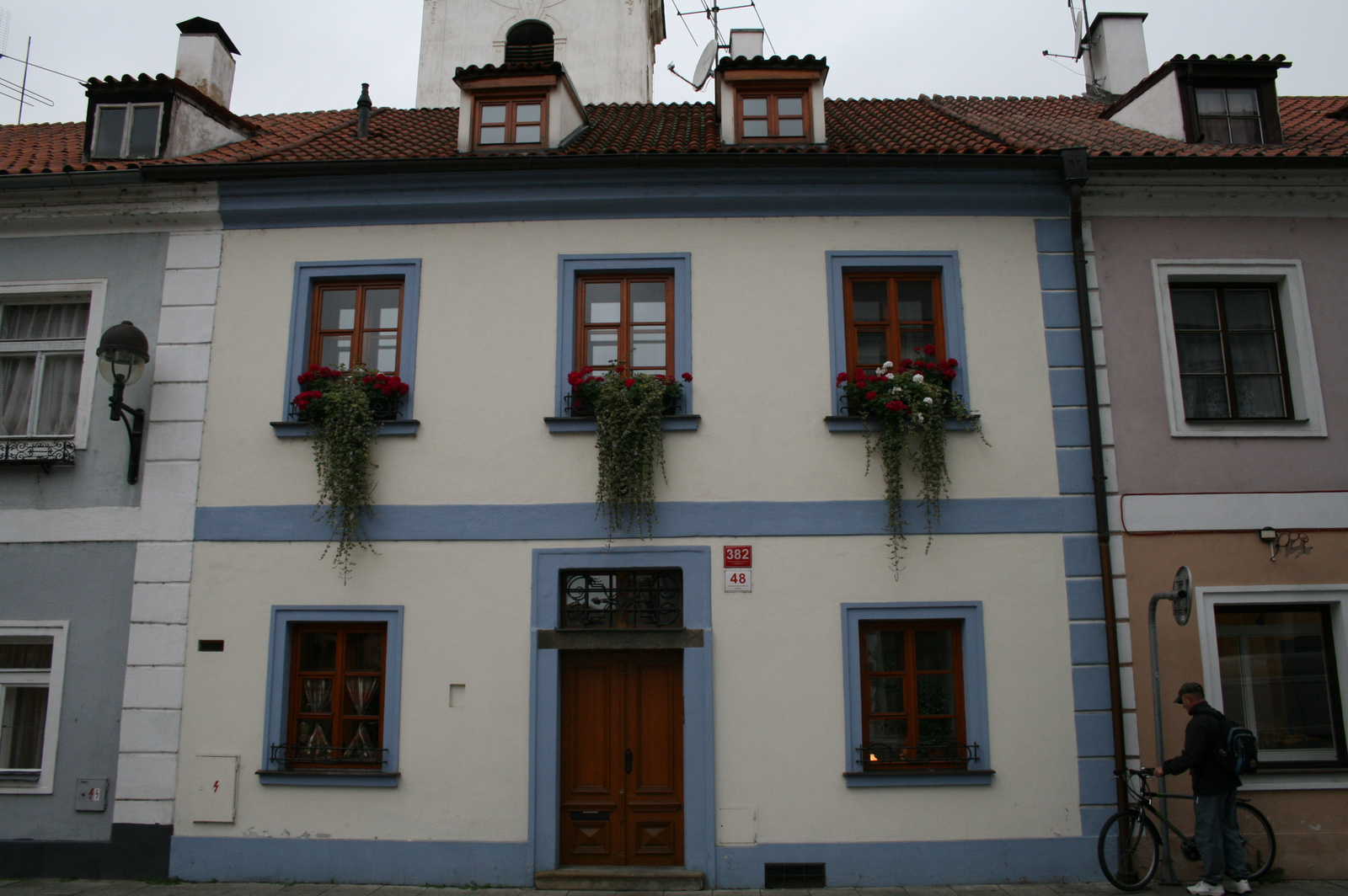 Virágos ablakok Ceske Budejovicéban