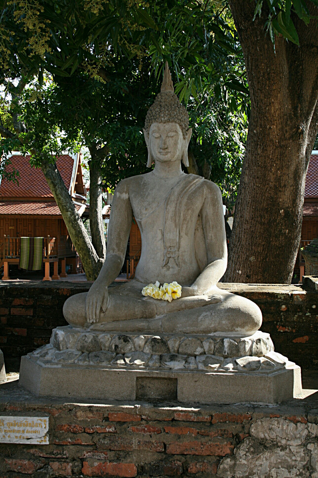 Buddha frangipanival