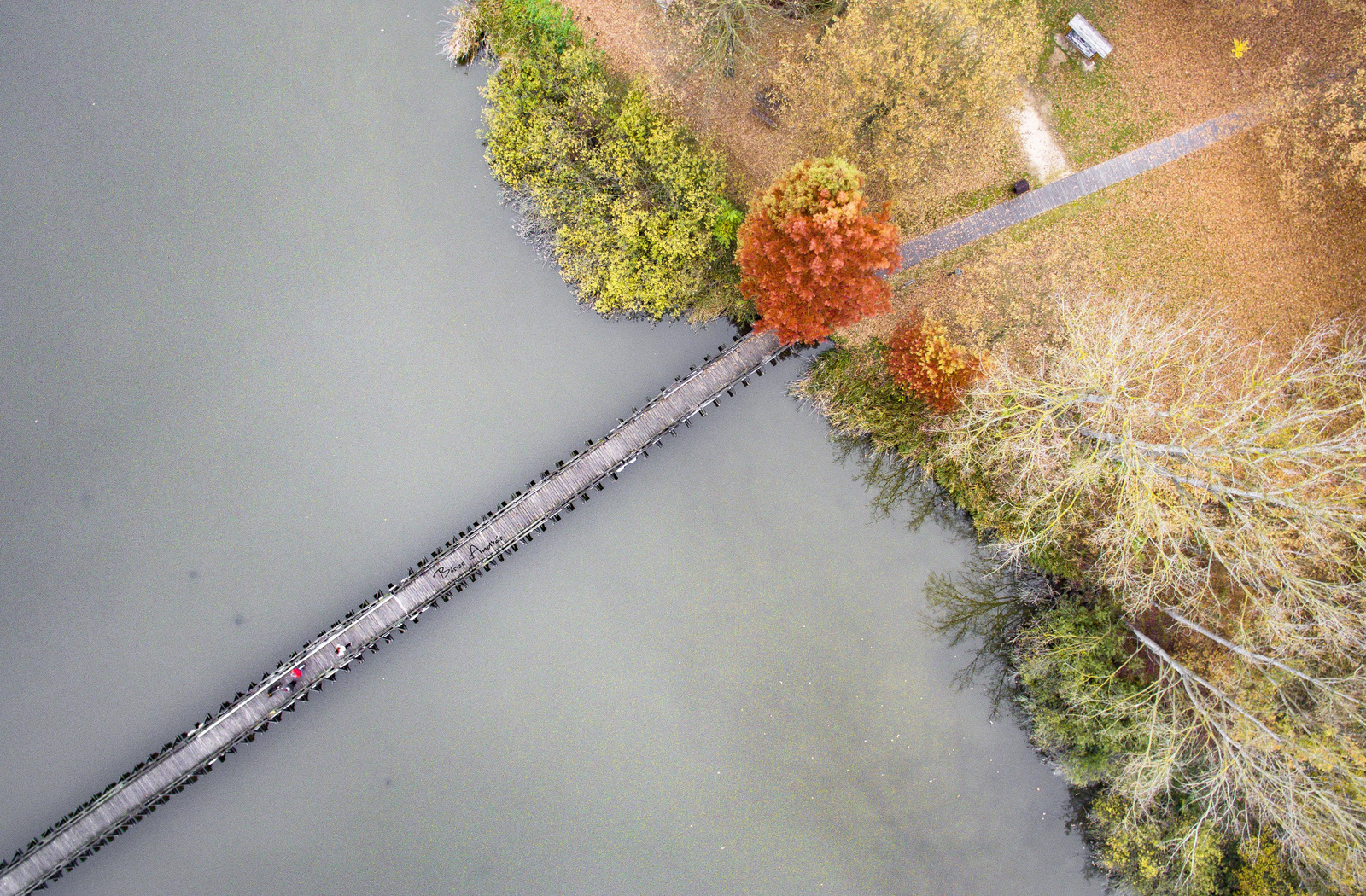 Híd az őszbe