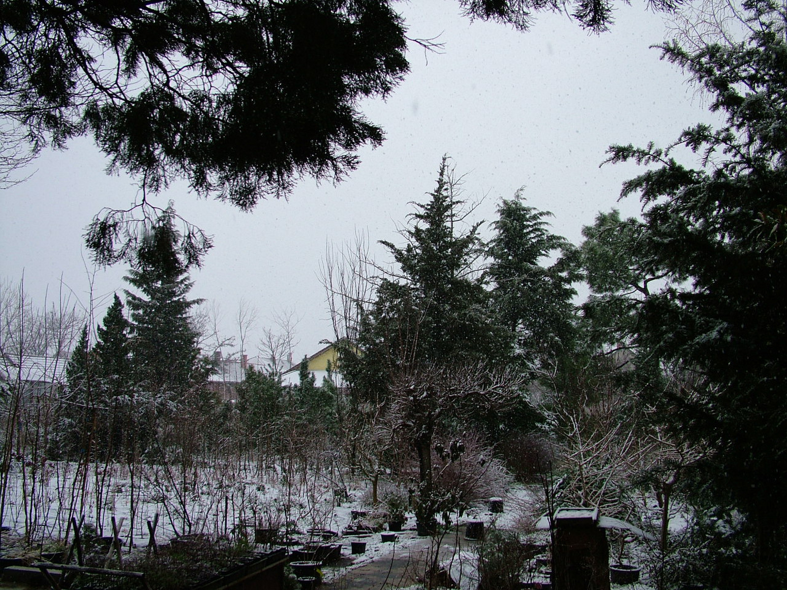 februári hó (2)