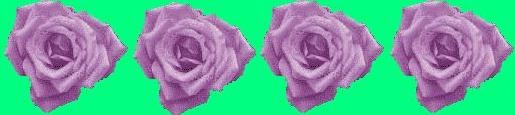 rose%20mauve%20